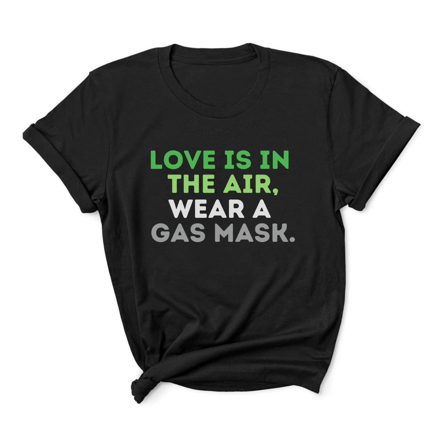 aromantic shirt, funny quote in aro pride colors, main