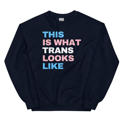 transgender sweatshirt in navy